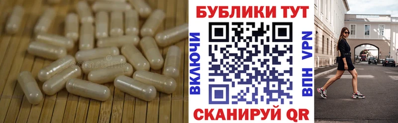 наркота  Городовиковск  Ecstasy диски 