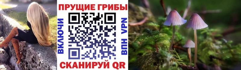 Галлюциногенные грибы мухоморы  даркнет сайт  Городовиковск 
