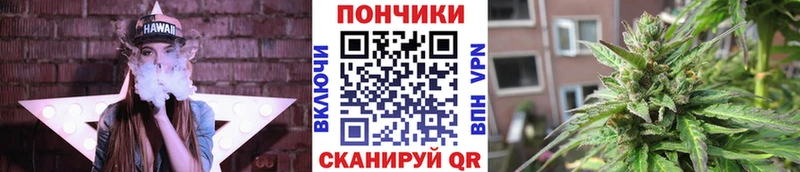 Бошки марихуана Amnesia  Городовиковск 